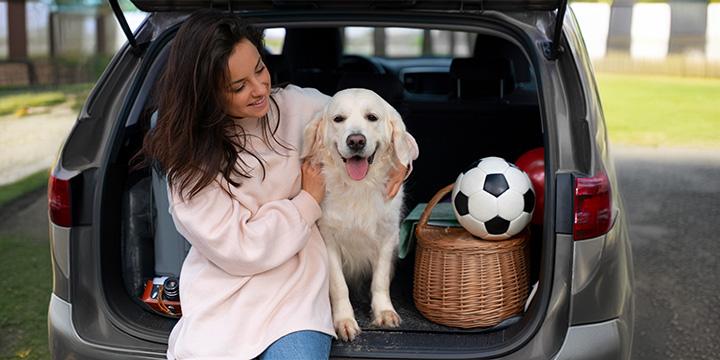 Dog Travel Safety: Essential Do’s and Don’ts for Car Rides with Pets