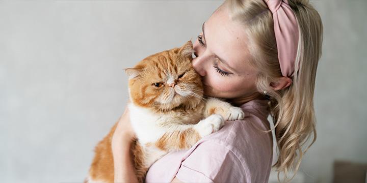 Comprehensive Guide to Initial Cat Ownership Costs: What to Expect and How to Save