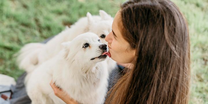 Comprehensive Guide to Initial Dog Ownership Costs: What to Expect and How to Save