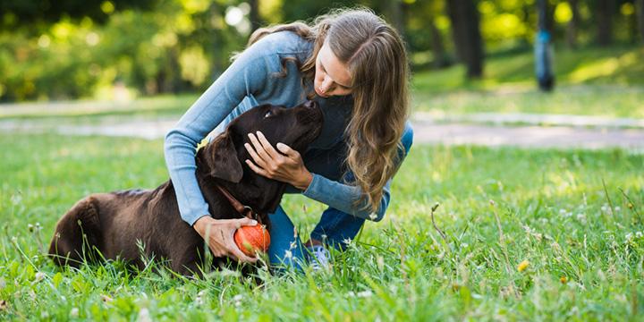 Creating a Pet-Friendly Garden