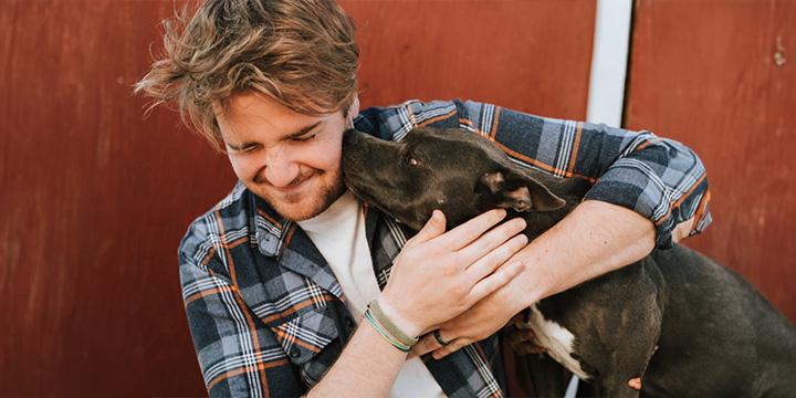 Why Adopting a Pet is the Best Choice: Top Reasons to Consider