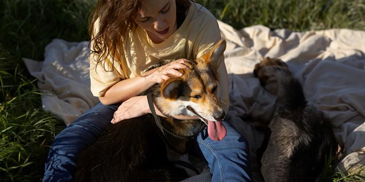 5 Tips for Managing a Dog While Working Full-Time