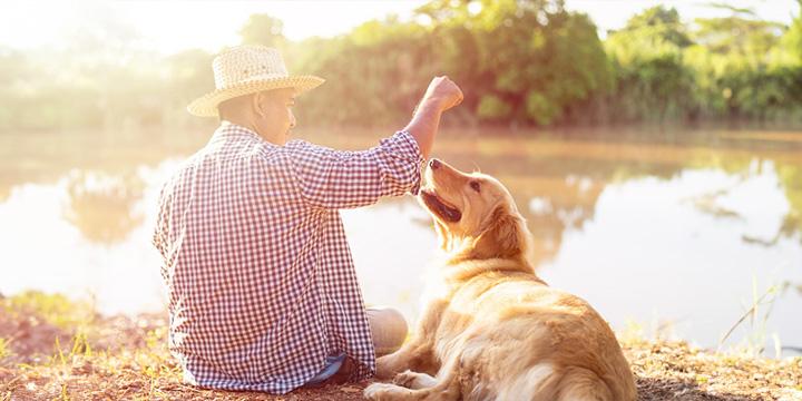 Best Dog Activities for Fun and Mental Stimulation: Top Ways to Engage Your Pet