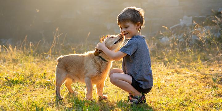 Managing Separation Anxiety In Dogs